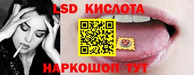 гашик Сланцы