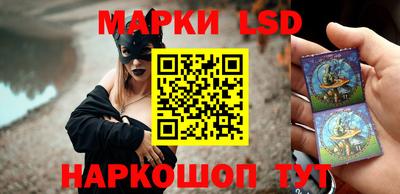 крисы Славянск-на-Кубани