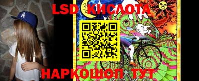 a pvp Славгород