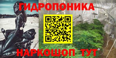 гашик Сланцы