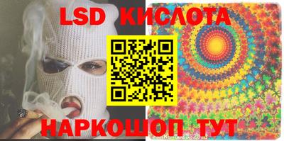гашик Сланцы
