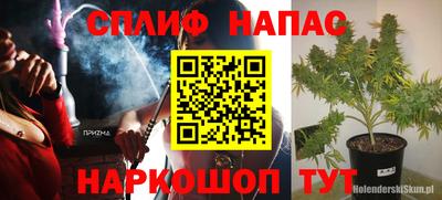 гашик Сланцы