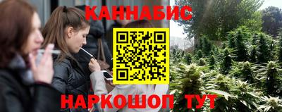 крисы Славянск-на-Кубани