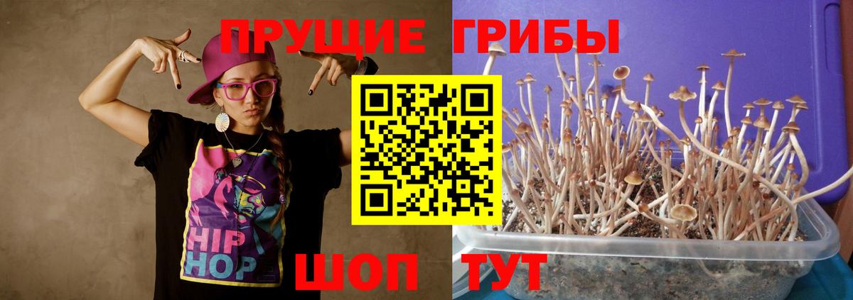 Псилоцибиновые грибы мицелий  Вход с VPN  продажа наркотиков  Псилоцибиновые грибы мицелий  Можайск 